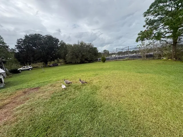 a view of a lake with a big yard