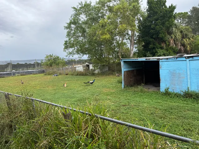 a view of a porch with chairs and backyard
