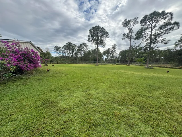 a backyard of a house with lots of green space