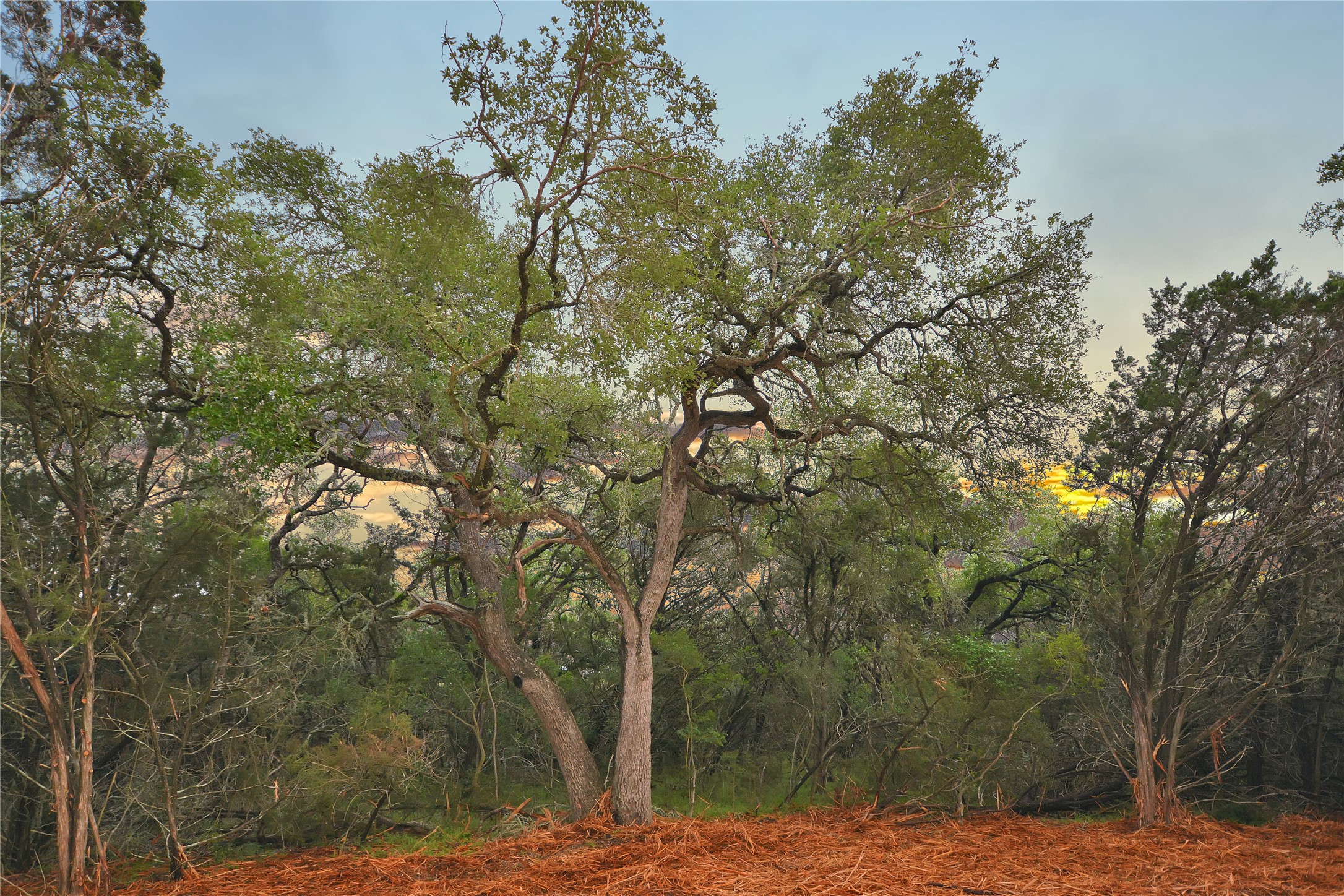 Lot 17 Sierra Loma Drive Wimberley, TX 78676 - Photo 9 of 10 Gallery Image 9