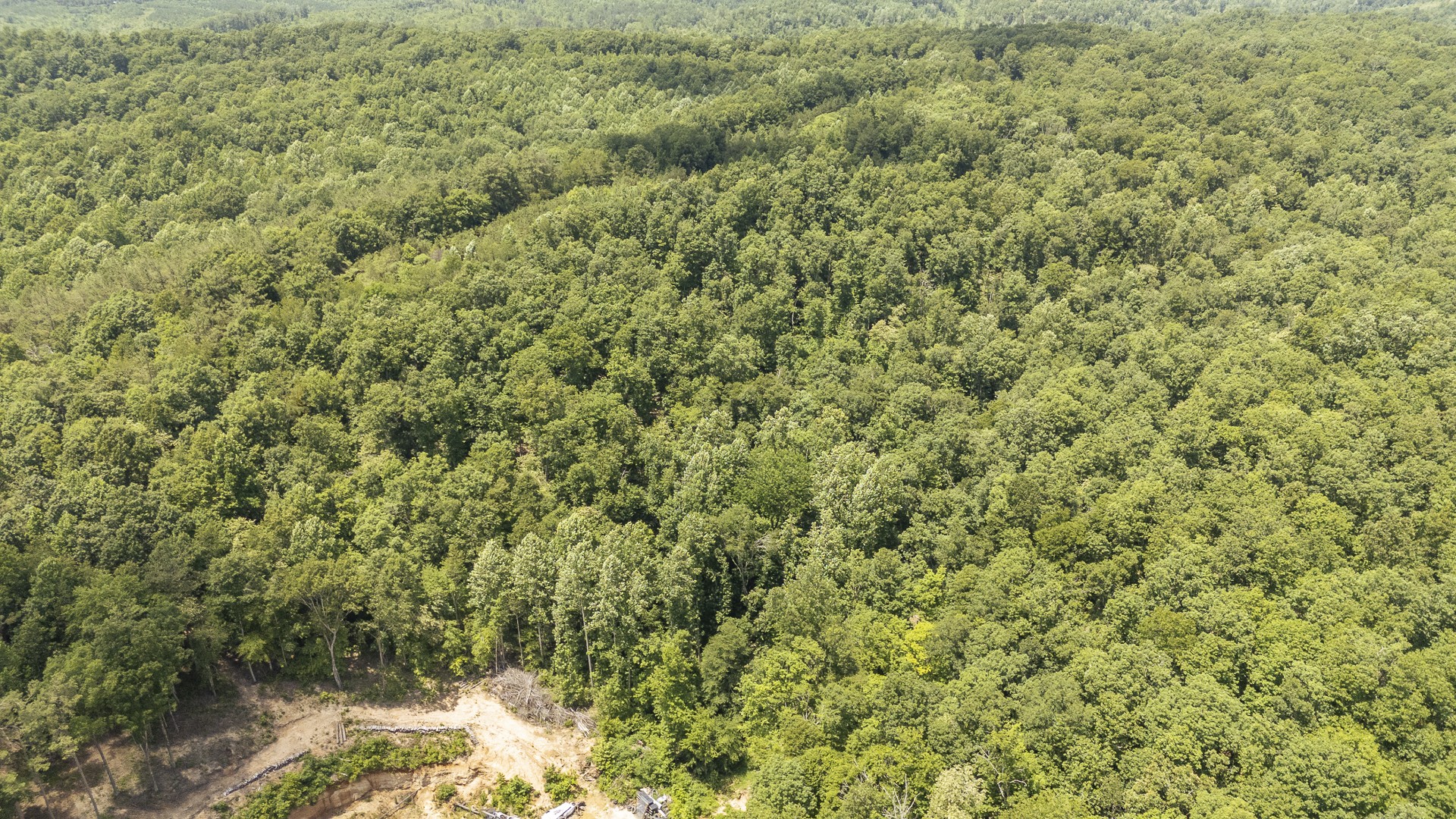 912 Simmons Branch Road Waynesboro, TN 38485 - Photo 16 of 21