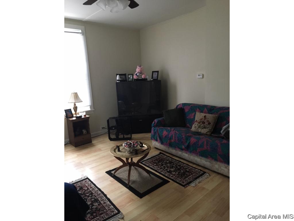 1011 South 12th Street Springfield, IL 62703 - Photo 8 of 10