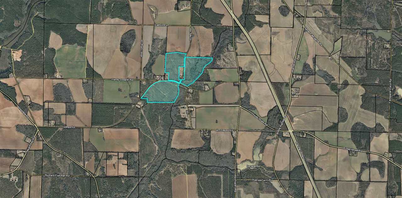 Vacant Busby Road Dawson, GA 39842 - Photo 29 of 29 Gallery Image 29