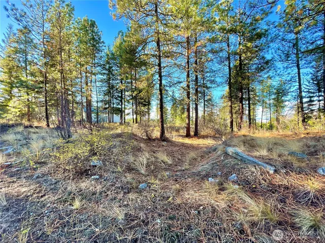 a view of road with trees