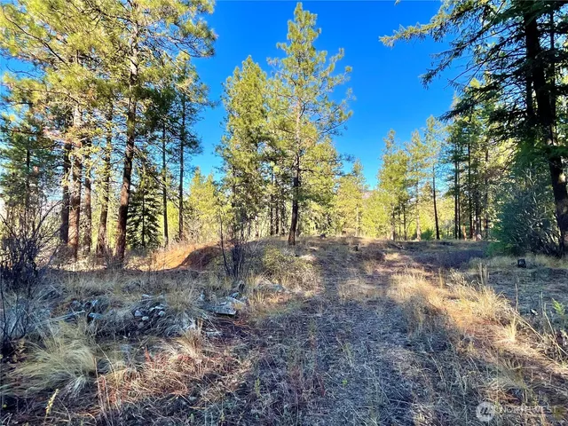 a view of backyard with green space