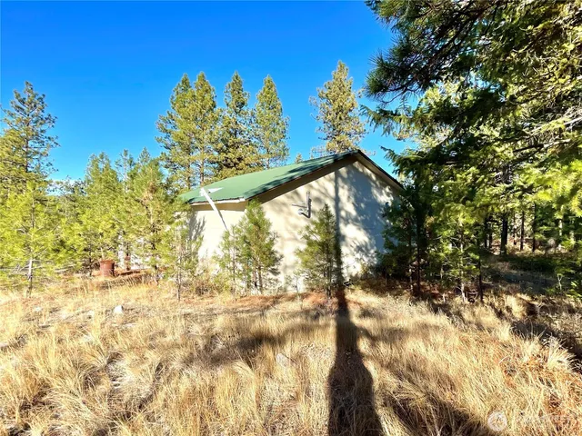 a view of a tree with a yard