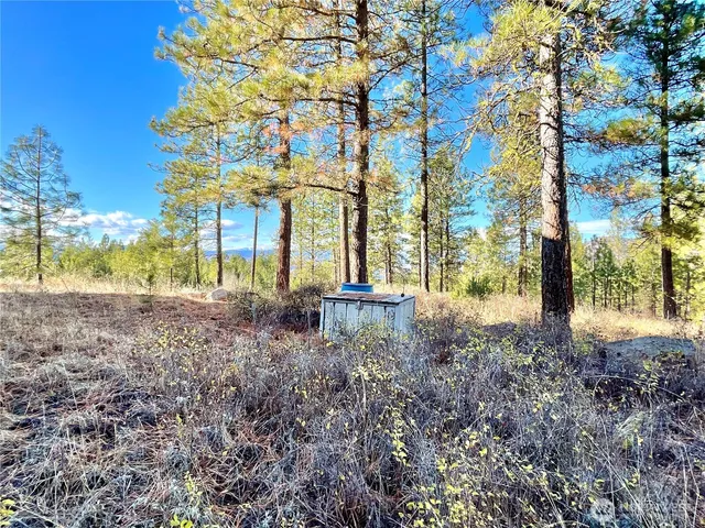 a view of yard with trees