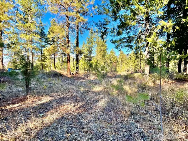 a view of outdoor space with trees
