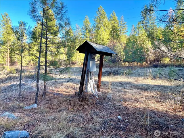 a view of backyard of house with trees