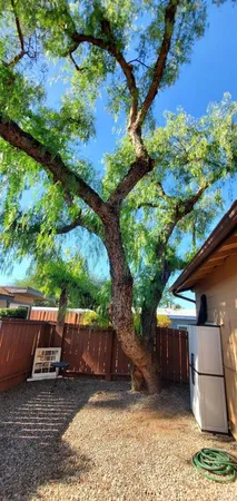 $3,050 | 6841 Mohawk Street, San Diego, CA 92115