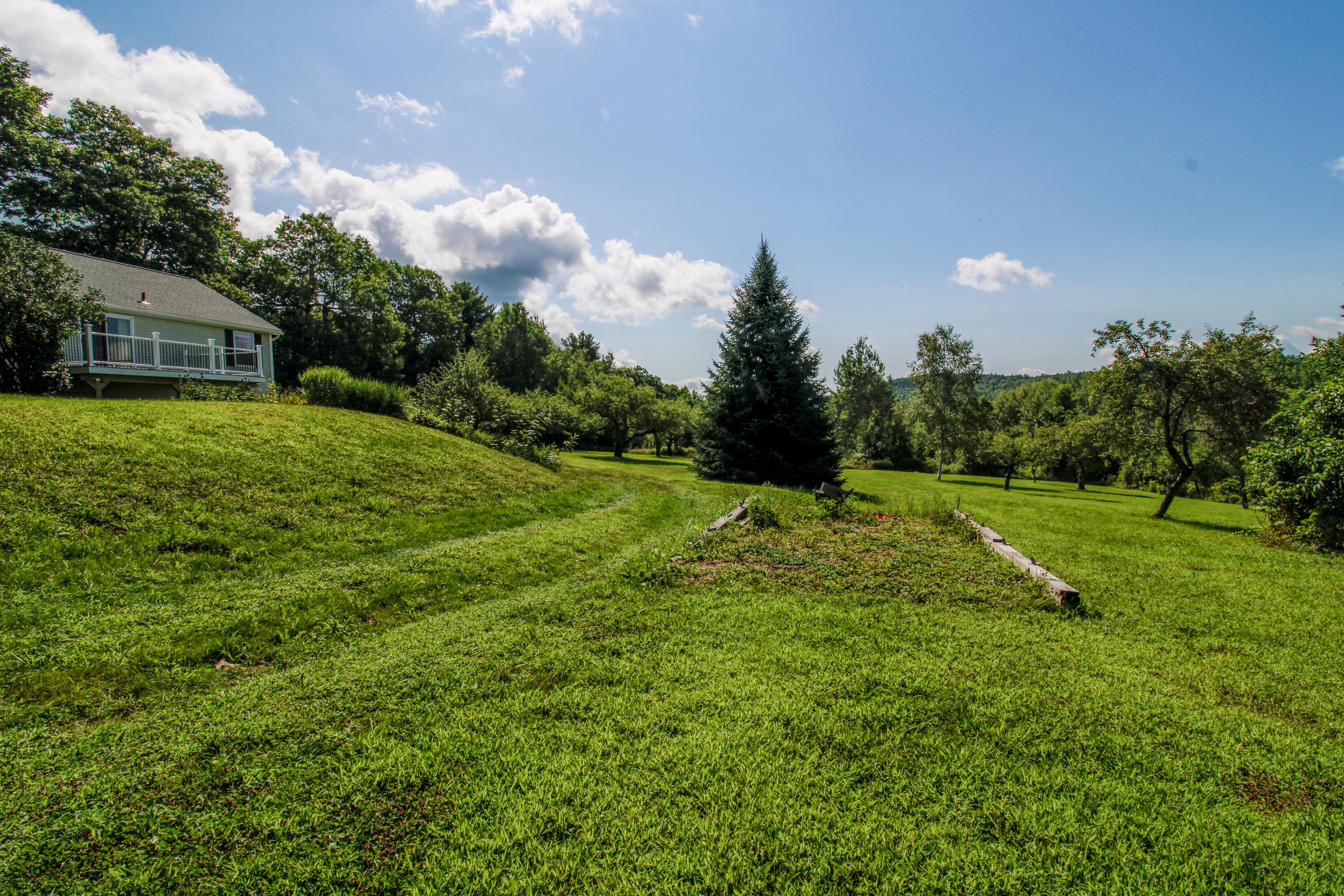 230 Plummer Hill Road Waterford, ME 04088 - Photo 8 of 35 Backyard
