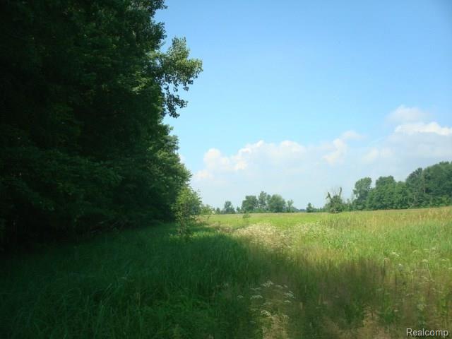 0 Wheeling Road Imlay City, MI 48444 - Photo 4 of 14