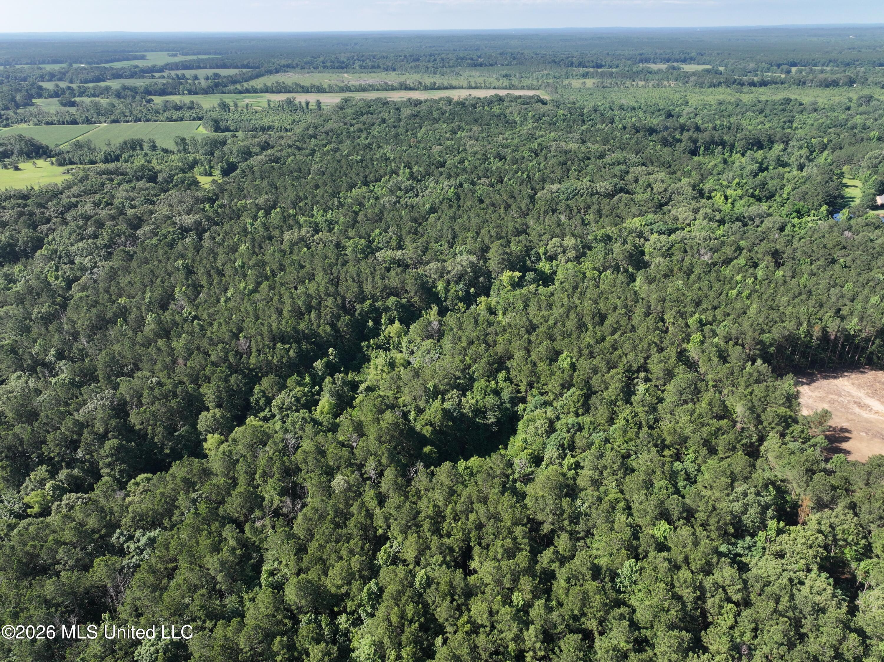 J C Prestage Road Pelahatchie, MS 39145 - Photo 5 of 24 E1947680-4259-4C2B-809C-9DFCAD13CB81