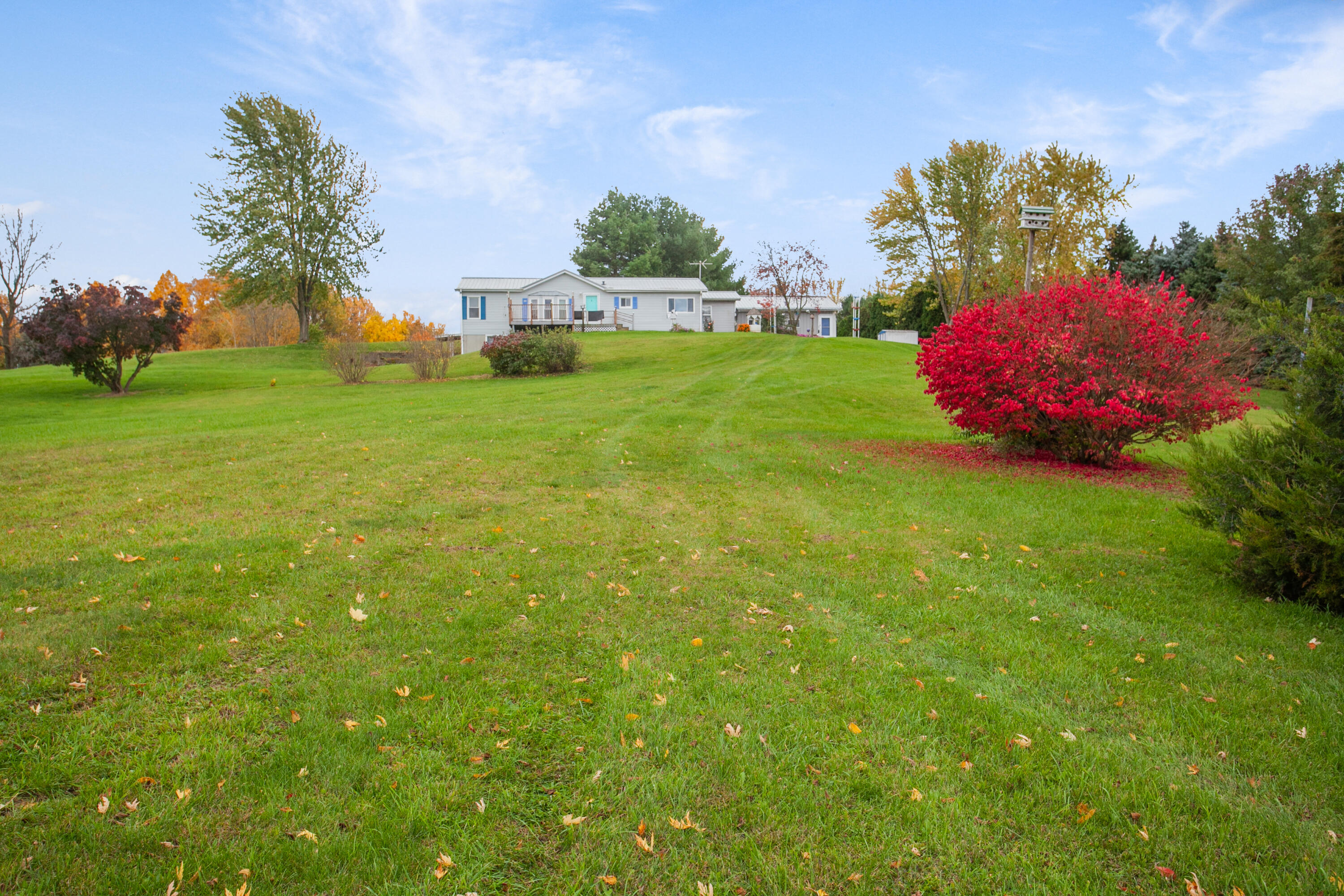 4035 Buffalo Road Buchanan, MI 49107 - Photo 3 of 29 27-print-00-27