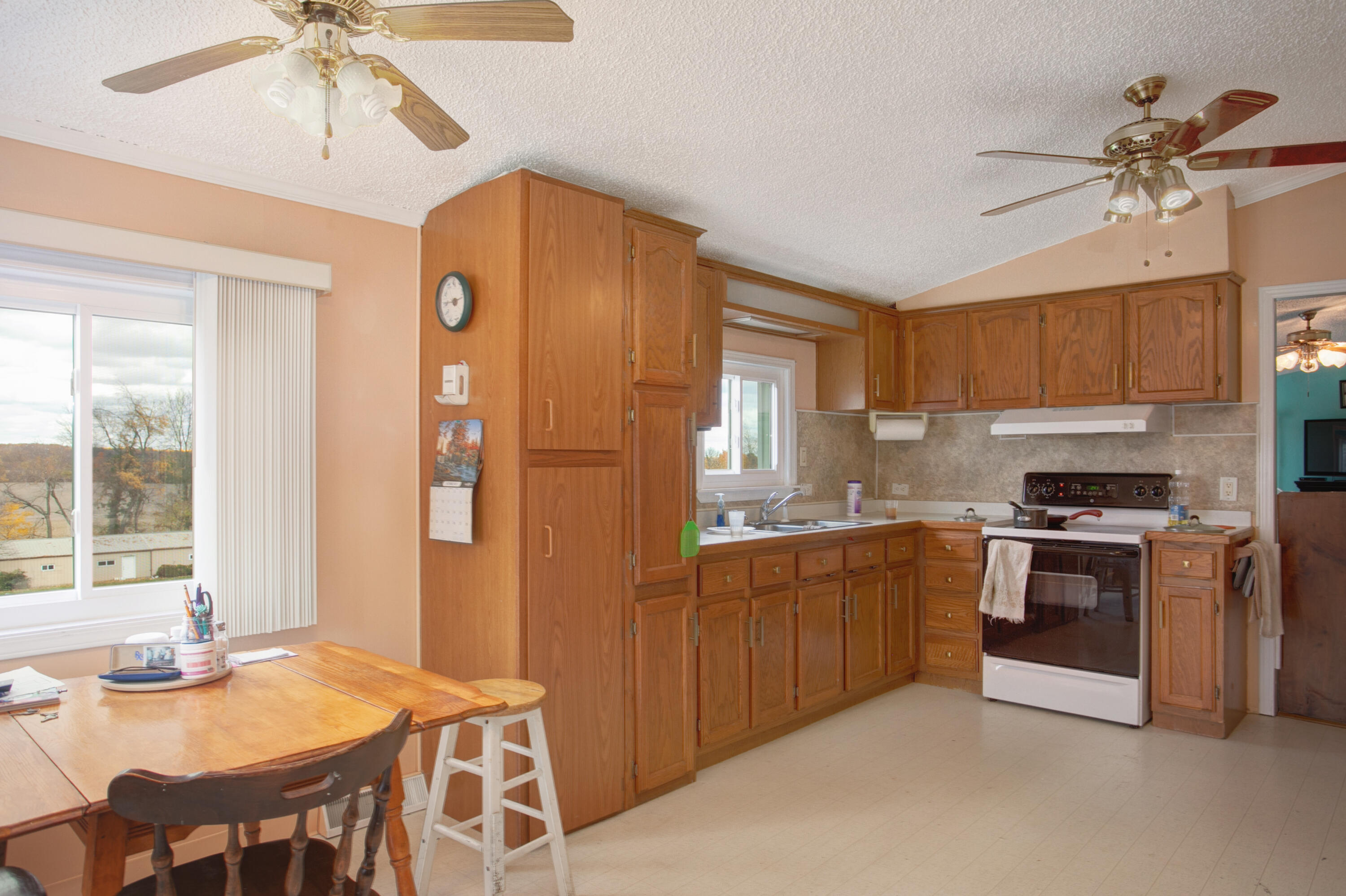 4035 Buffalo Road Buchanan, MI 49107 - Photo 5 of 29 7-print-00-7