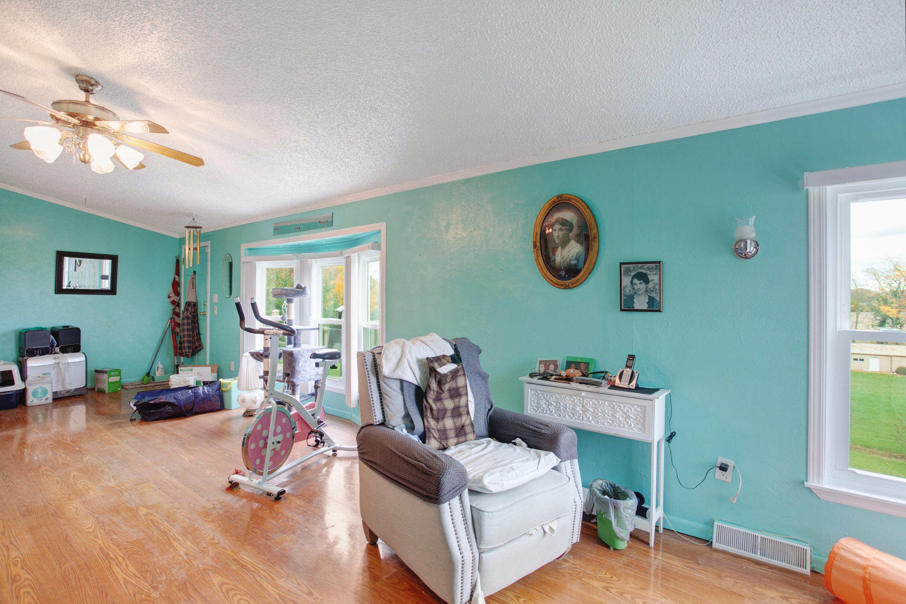 4035 Buffalo Road Buchanan, MI 49107 - Photo 9 of 29 14-print-00-14
