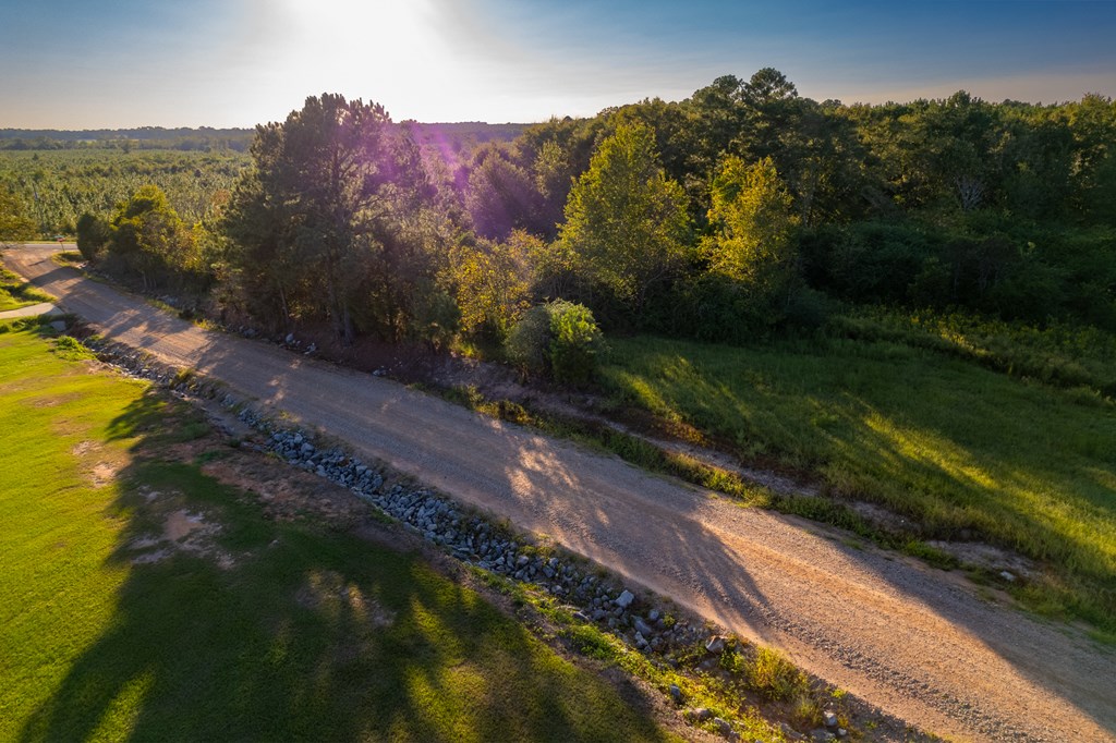 2226 Randall Wade Road Headland, AL 36345 - Photo 23 of 60