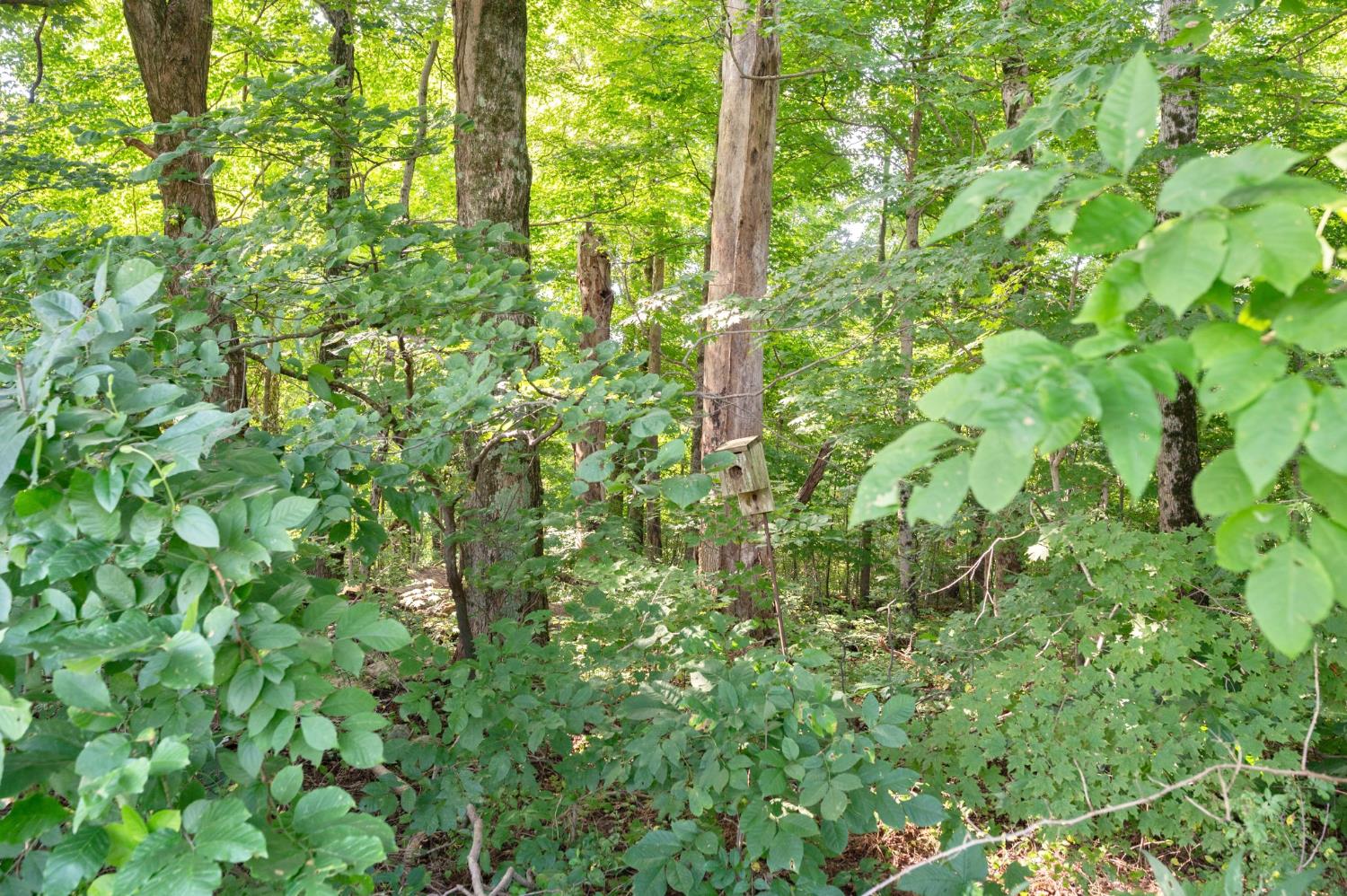 3639 West Us Highway Holton, IN 47023 - Photo 47 of 61