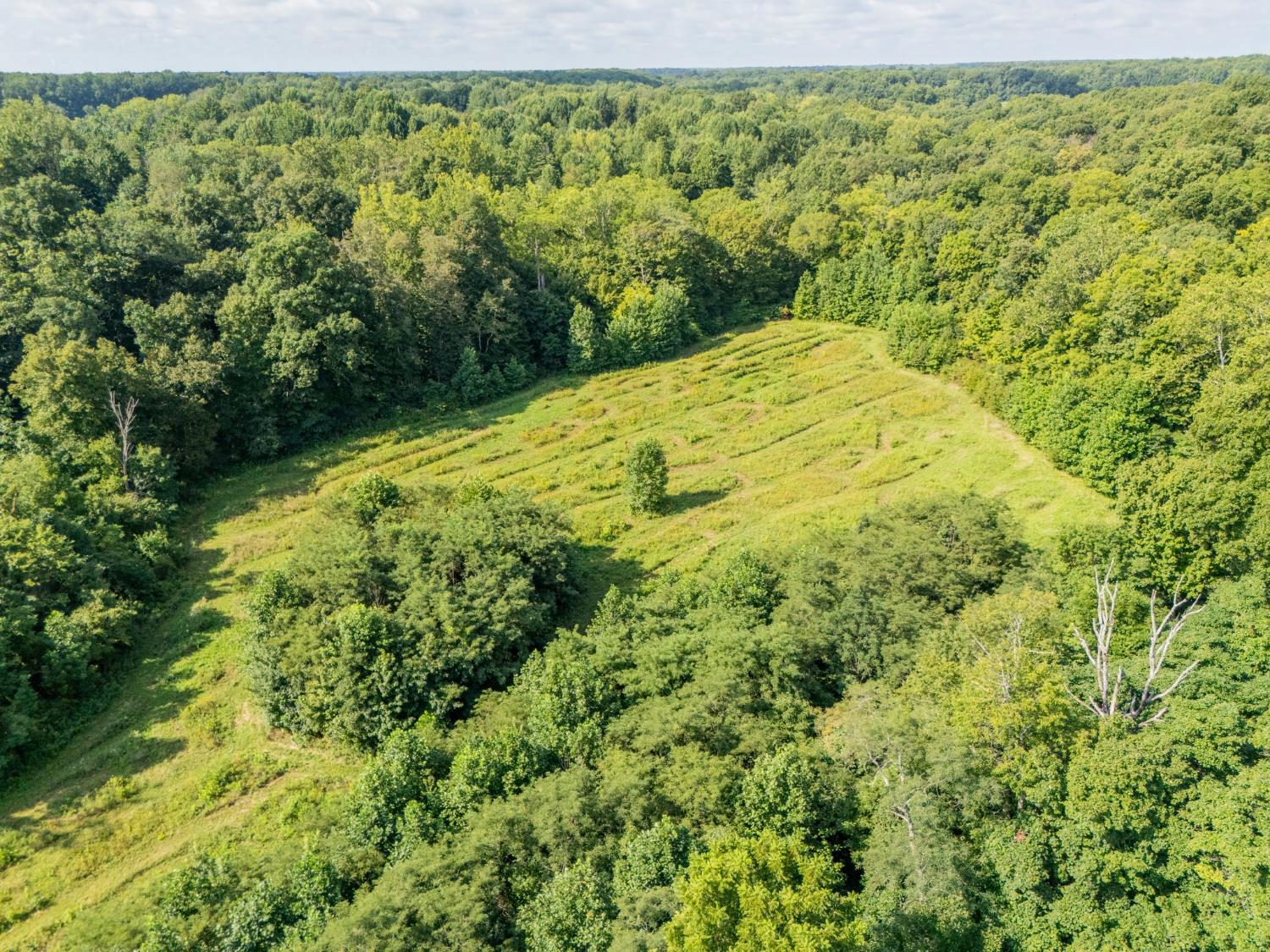 3639 West Us Highway Holton, IN 47023 - Photo 48 of 61