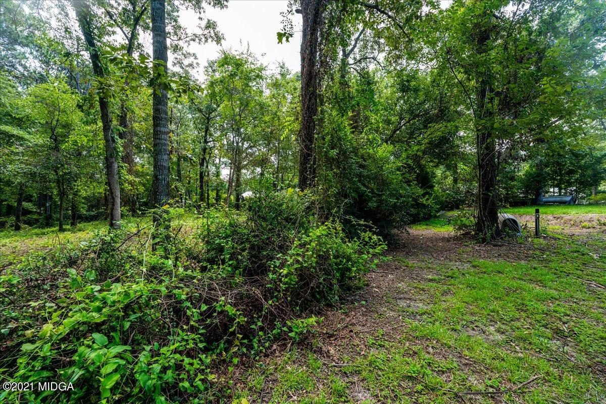 172 Old Hickory Road Byron, GA 31008 - Photo 22 of 25 a view of a lush green forest
