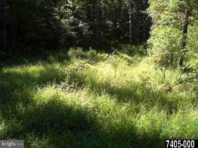 Lot 1 Day Road Fawn Grove, PA 17321 - Photo 11 of 13 Gallery Image 11