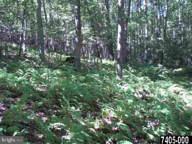 Lot 1 Day Road Fawn Grove, PA 17321 - Photo 5 of 13 Gallery Image 5
