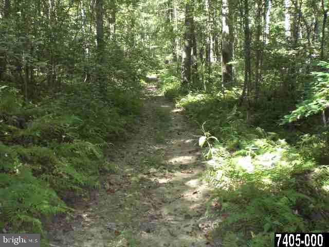 Lot 1 Day Road Fawn Grove, PA 17321 - Photo 6 of 13 Gallery Image 6