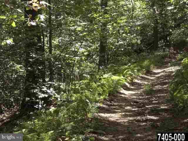 Lot 1 Day Road Fawn Grove, PA 17321 - Photo 8 of 13 Gallery Image 8