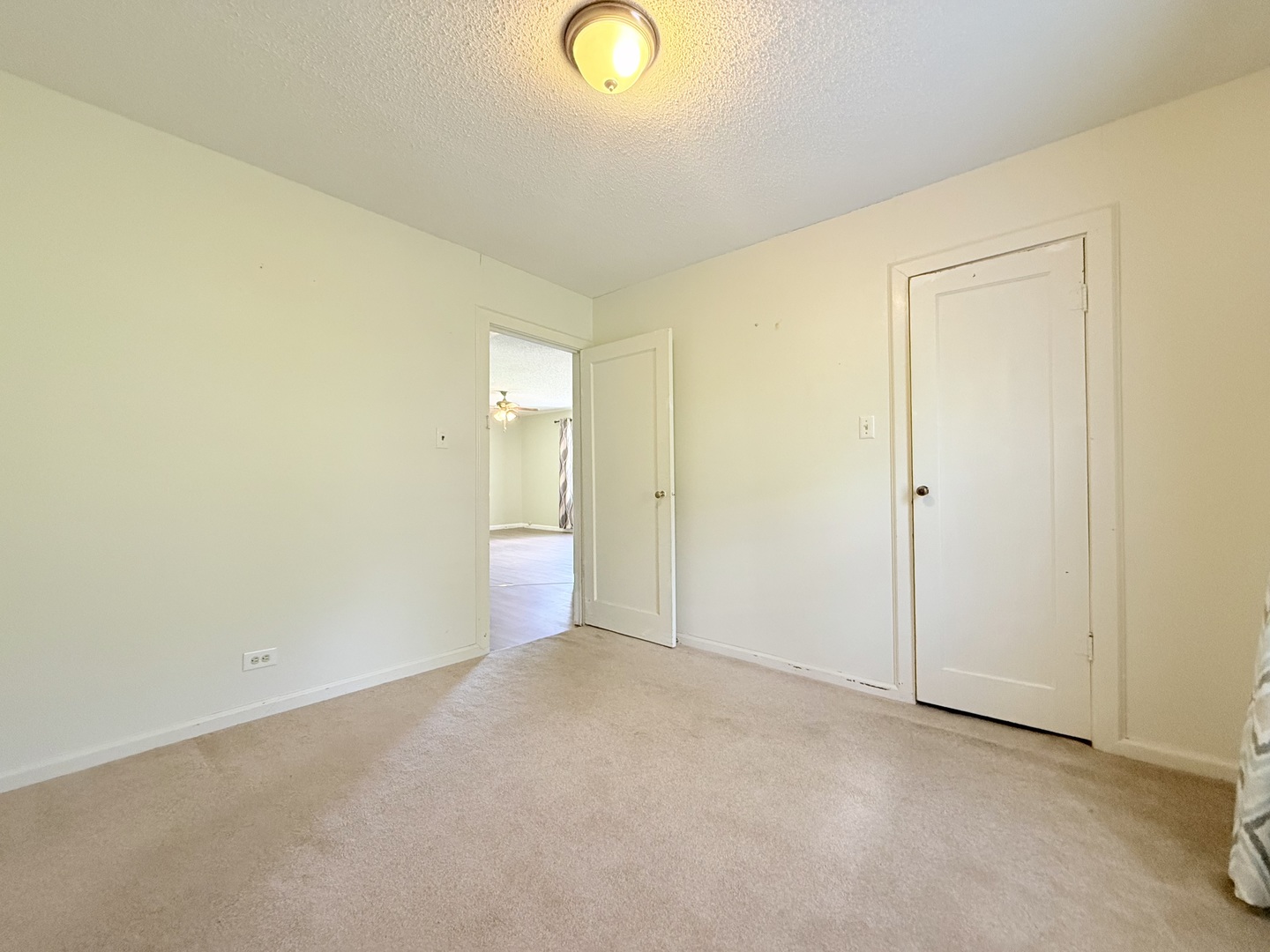 345 East Fords Ferry Road Cave In Rock, IL 62919 - Photo 17 of 21