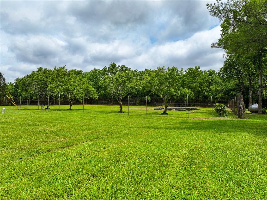 5855 Southeast 981 Pvt Road Collins, MO 64738 - Photo 9 of 79