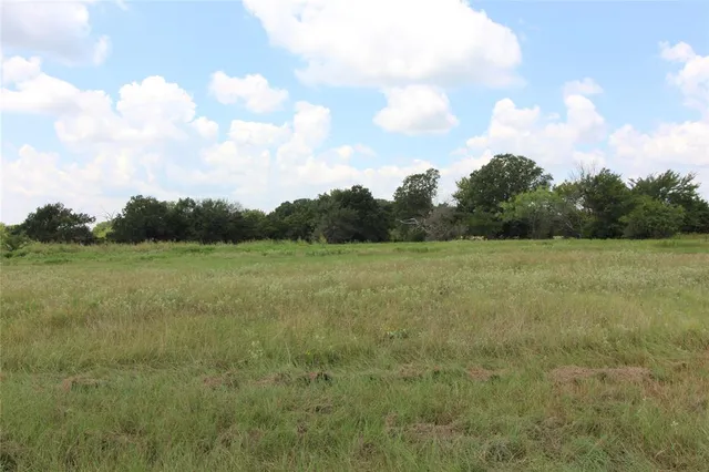 a view of a big yard with large trees
