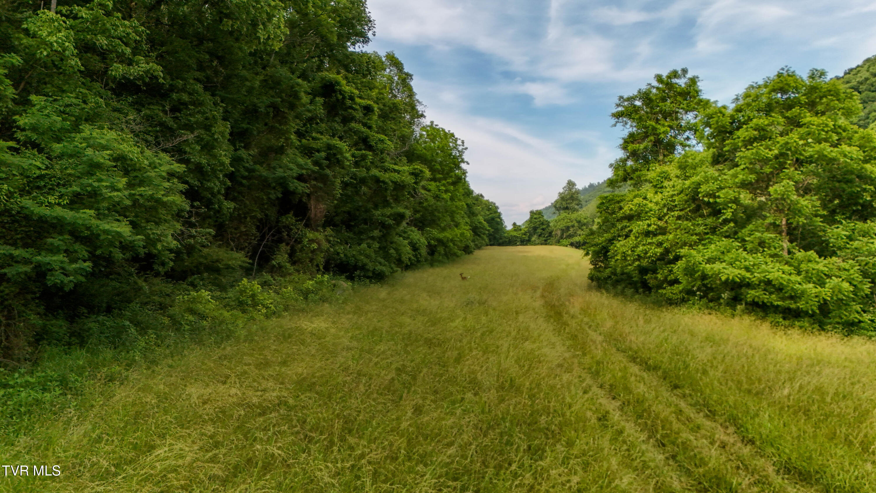 0 Anglers Way Road Duffield, VA 24244 - Photo 27 of 36 TBD Anglers Way Rd Drone JNC-7