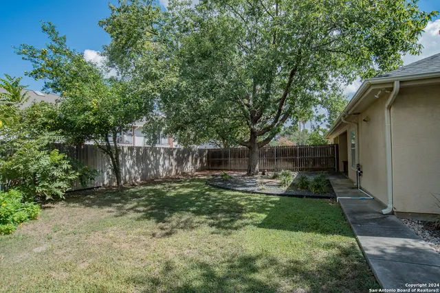 a view of a yard with a tree
