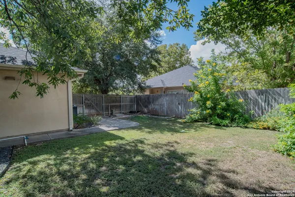 a backyard with tall trees
