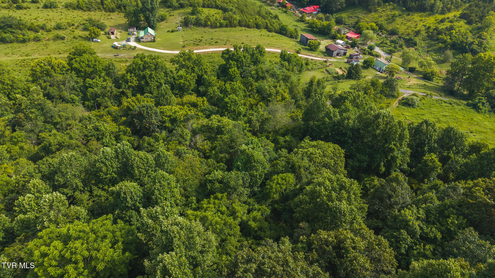 0 Gravely Valley Road Eidson, TN 37731 - Photo 19 of 36 DJI_20250716171442_0765_D
