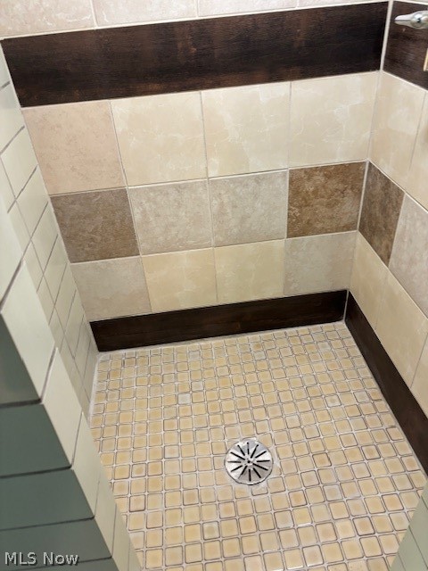 15381 Howe Road Strongsville, OH 44136 - Photo 46 of 50 lower level shower