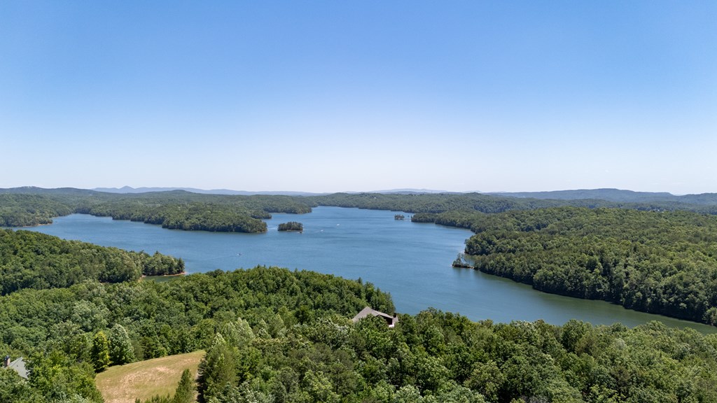 1674 Hunter Ridge Ellijay, GA 30540 - Photo 5 of 70 Gallery Image 5
