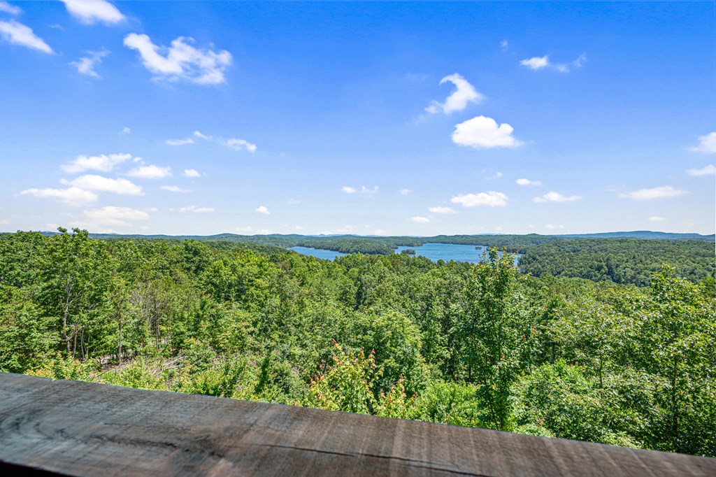 1674 Hunter Ridge Ellijay, GA 30540 - Photo 56 of 70 Gallery Image 56