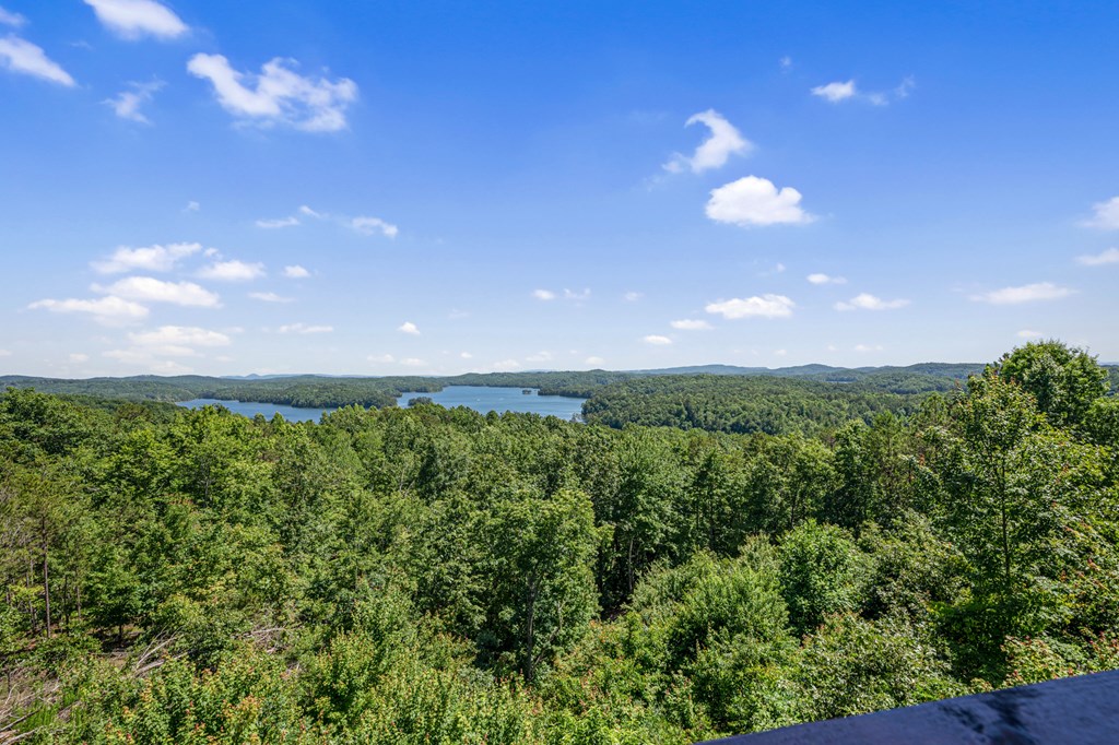 1674 Hunter Ridge Ellijay, GA 30540 - Photo 59 of 70 Gallery Image 59