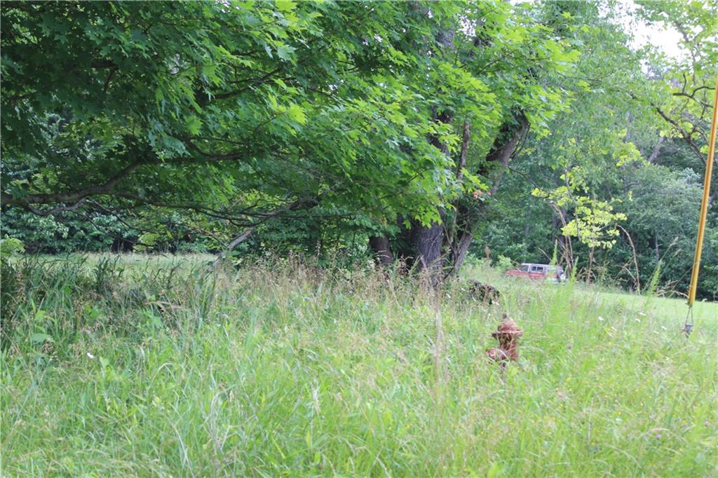10-acres Camp Branch Road Bloomfield, IN 47424 - Photo 3 of 4
