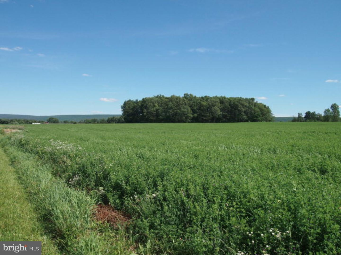 Lot 3 Farm View Road Pine Grove, PA 17963 - Photo 2 of 9 Gallery Image 2