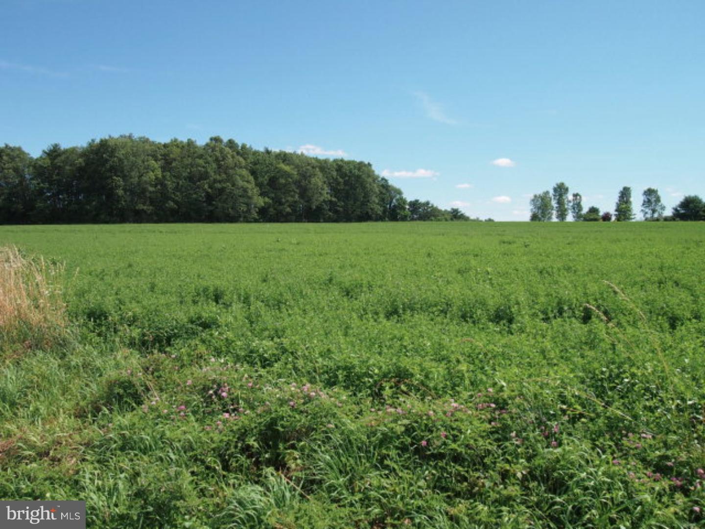 Lot 3 Farm View Road Pine Grove, PA 17963 - Photo 6 of 9 Gallery Image 6
