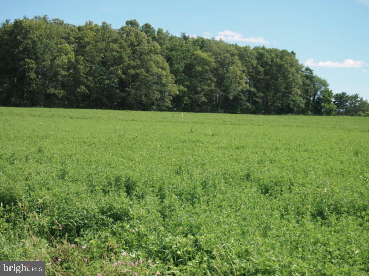 Lot 3 Farm View Road Pine Grove, PA 17963 - Photo 7 of 9 Gallery Image 7