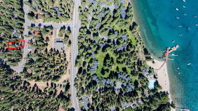 view of a bunch of flowers