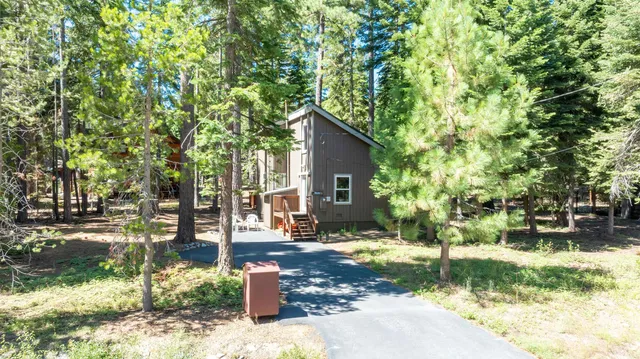 a view of a yard with plants