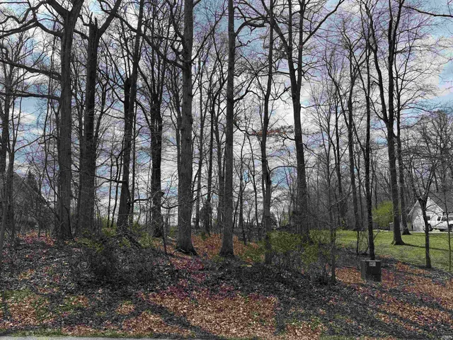 $5,000 | 241 West Melchoir, Santa Claus, IN 47579