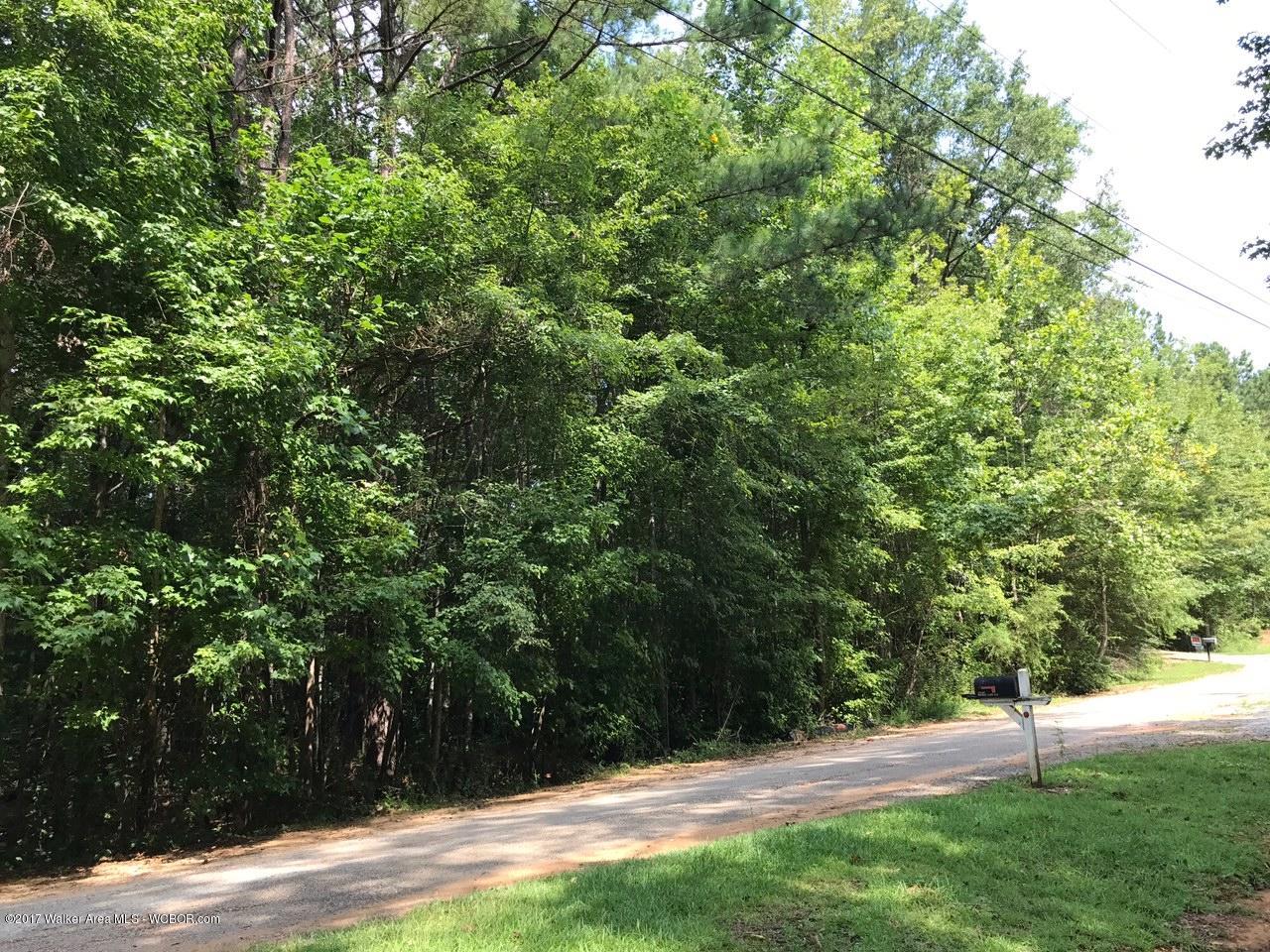 Double Gate Road Duncanville, AL 35456 - Photo 1 of 2 Gallery Image 1