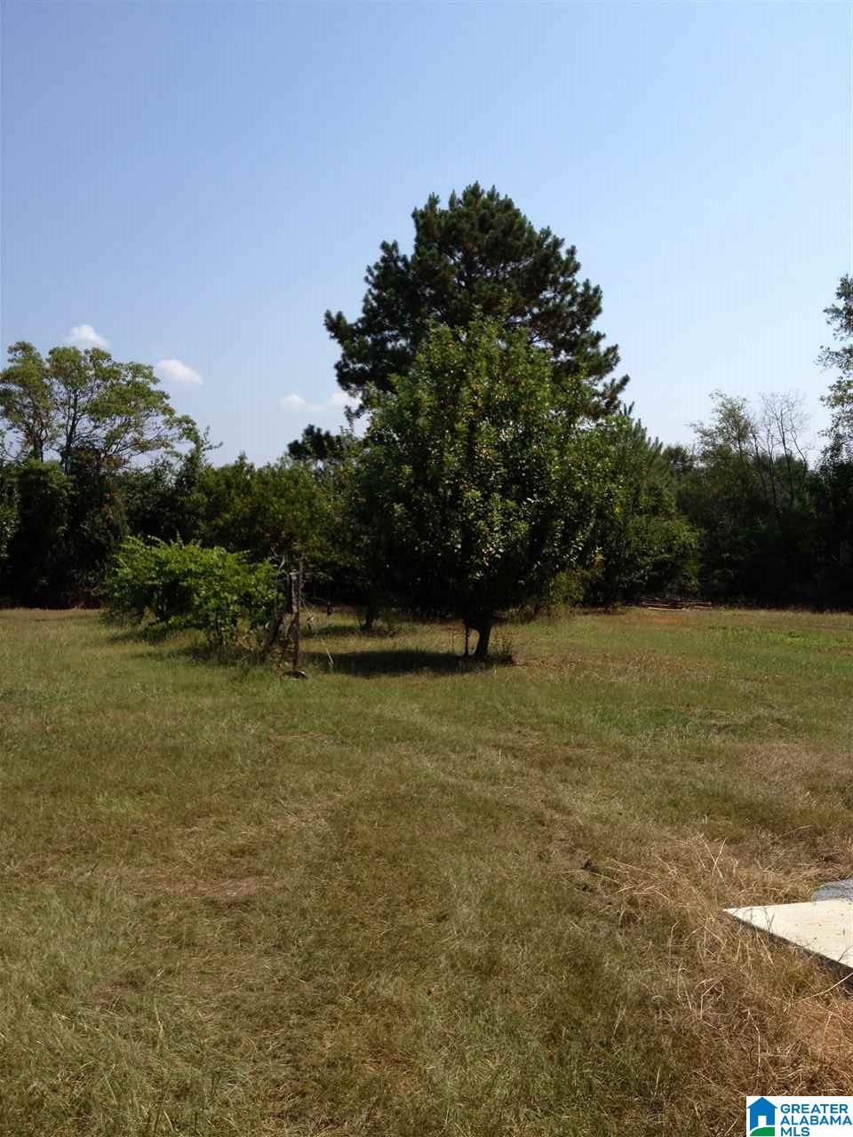 0 Grist Mill Road, Unit 1 Childersburg, AL 35044 - Photo 3 of 5