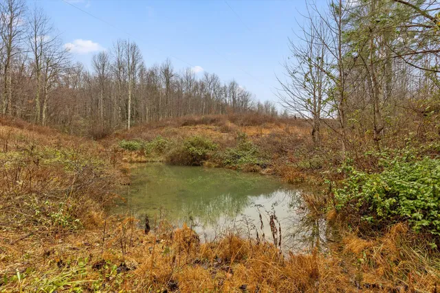 $360,000 | 1363 Bass Layne Road, Gruetli Laager, TN 37339