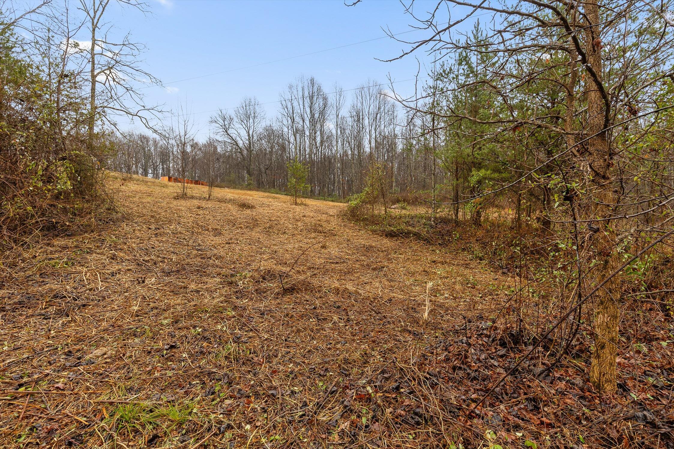 1363 Bass Layne Road Gruetli Laager, TN 37339 - Photo 7 of 25 23-Bass Layne-23